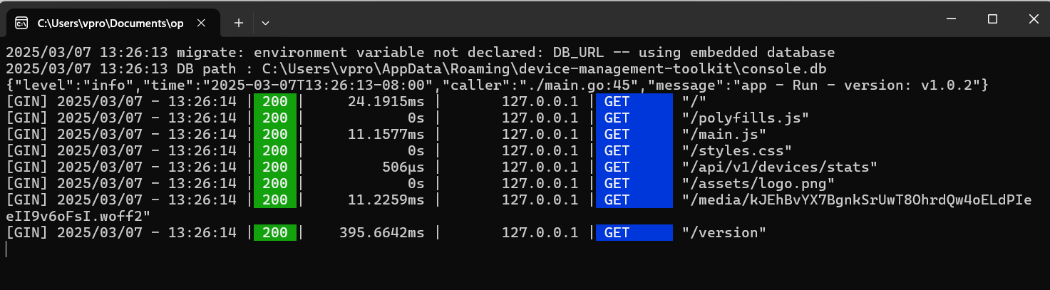 Figure 3: Console Process Startup